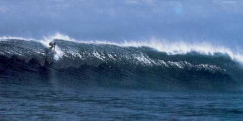 bali surfing tour