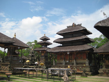 bali surfing tour