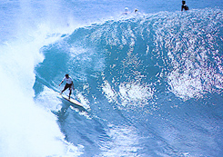 bali surfing tour